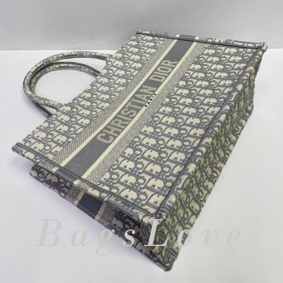 Женская сумка Christian Dior (Кристиан Диор) BЭ1105685