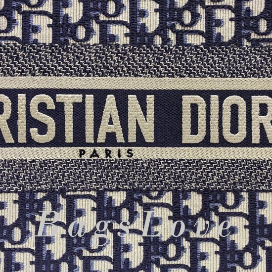 Женская сумка Christian Dior (Кристиан Диор) BЭ1105686