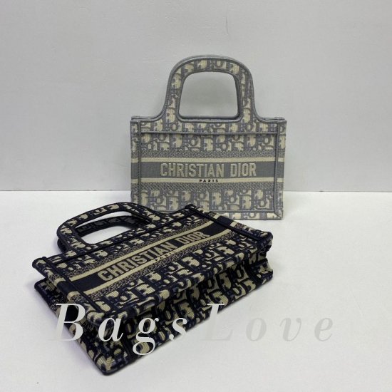 Женская сумка Christian Dior (Кристиан Диор) BЭ1105687