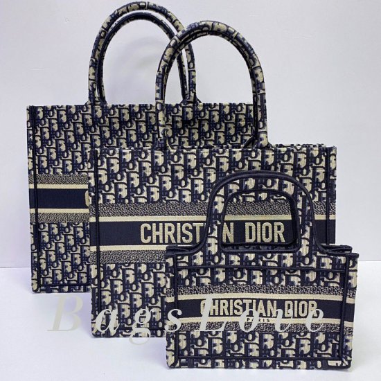 Женская сумка Christian Dior (Кристиан Диор) BЭ1105687