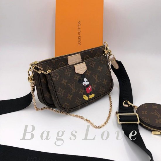 Женская сумка Louis Vuitton (Луи Виттон) B106141