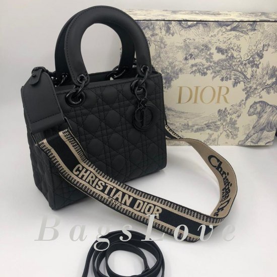 Женская сумка Christian Dior (Кристиан Диор) B106146