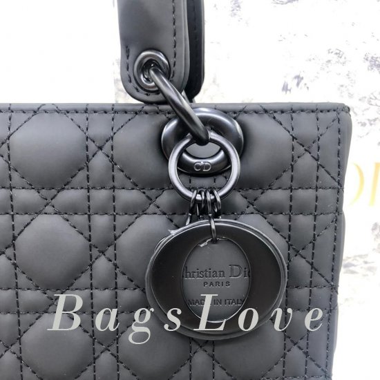 Женская сумка Christian Dior (Кристиан Диор) B106146