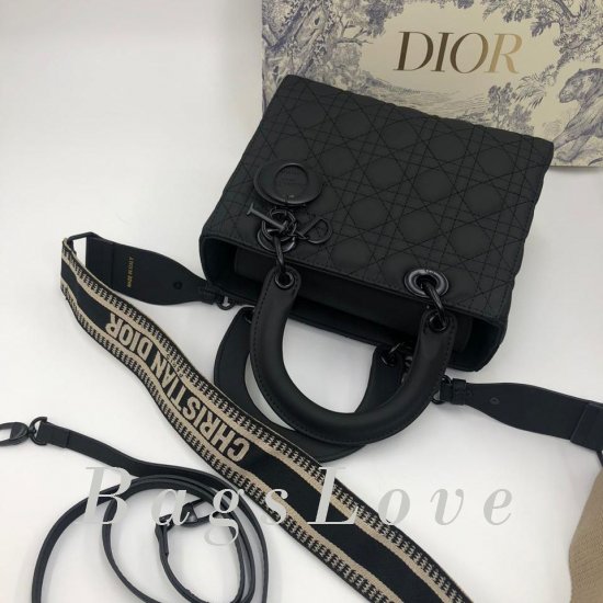 Женская сумка Christian Dior (Кристиан Диор) B106146