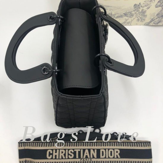 Женская сумка Christian Dior (Кристиан Диор) B106146