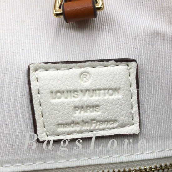 Женская сумка Louis Vuitton (Луи Виттон) B106154