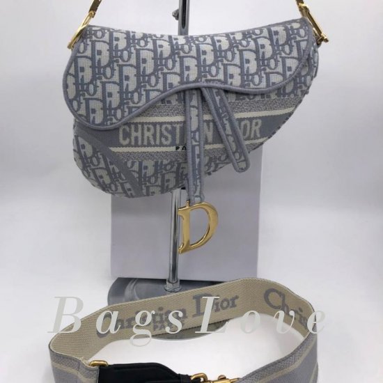 Женская сумка Christian Dior (Кристиан Диор) B106194