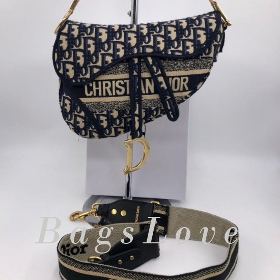 Женская сумка Christian Dior (Кристиан Диор) B106196