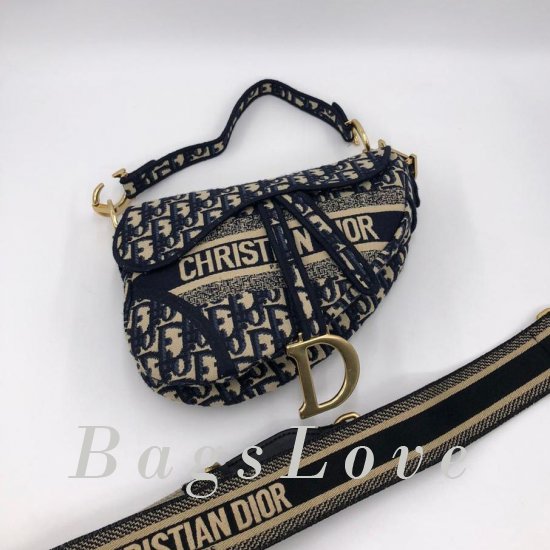 Женская сумка Christian Dior (Кристиан Диор) B106196