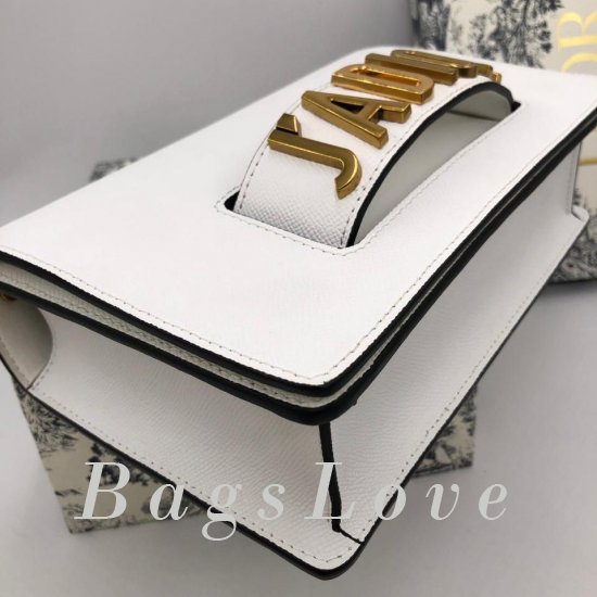 Женская сумка Christian Dior (Кристиан Диор) B106219