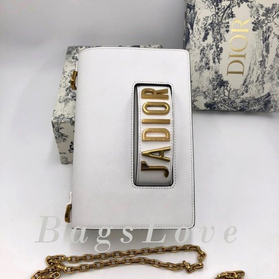 Женская сумка Christian Dior (Кристиан Диор) B106219