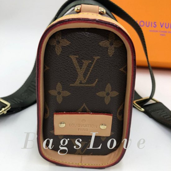 Женская сумка Louis Vuitton (Луи Виттон) B106236