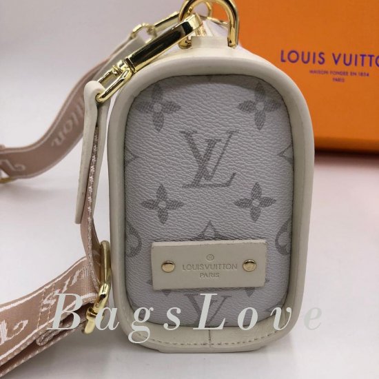 Женская сумка Louis Vuitton (Луи Виттон) B106238