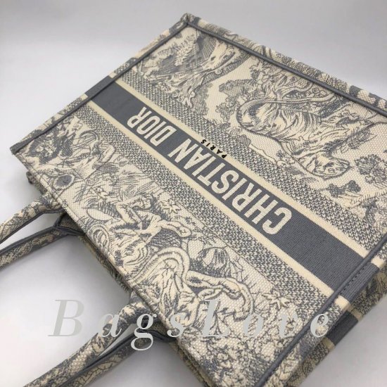 Женская сумка Christian Dior (Кристиан Диор) B106243