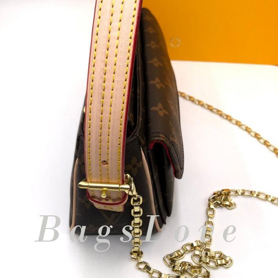 Женская сумка Louis Vuitton (Луи Виттон) B106244