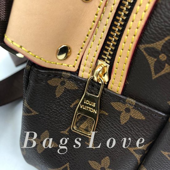 Женский рюкзак Louis Vuitton B106245