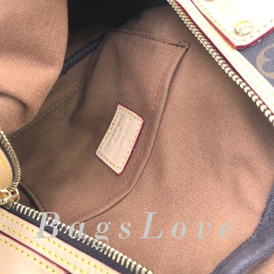 Женский рюкзак Louis Vuitton B106245