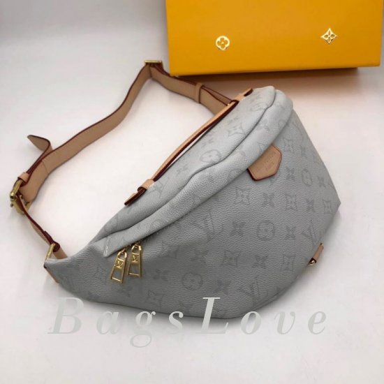 Женская сумка Louis Vuitton (Луи Виттон) B106268