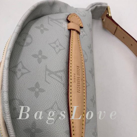 Женская сумка Louis Vuitton (Луи Виттон) B106268