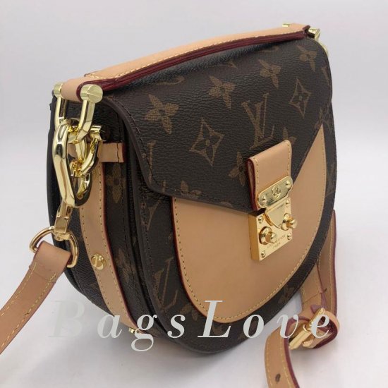 Женская сумка Louis Vuitton (Луи Виттон) B106298
