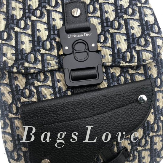 Женский рюкзак Christian Dior B106310