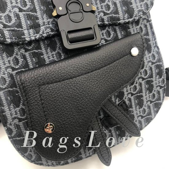 Женский рюкзак Christian Dior B106311