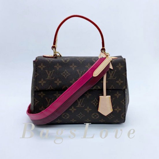 Женская сумка Louis Vuitton (Луи Виттон) B106314