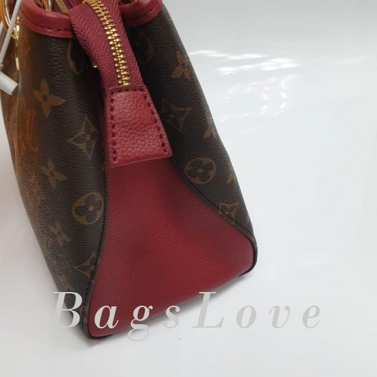 Женская сумка Louis Vuitton (Луи Виттон) B106346