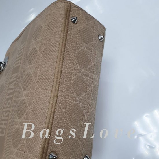 Женская сумка Christian Dior (Кристиан Диор) B106350