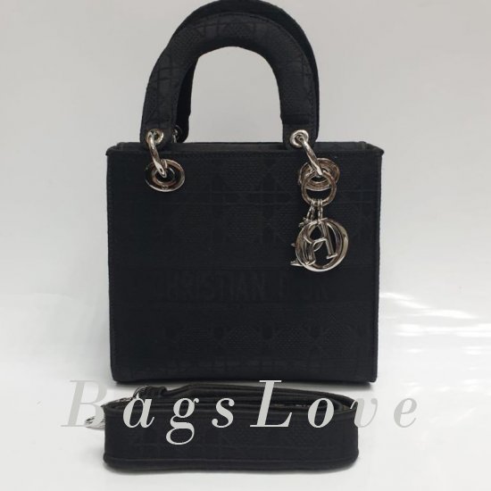 Женская сумка Christian Dior (Кристиан Диор) B106351