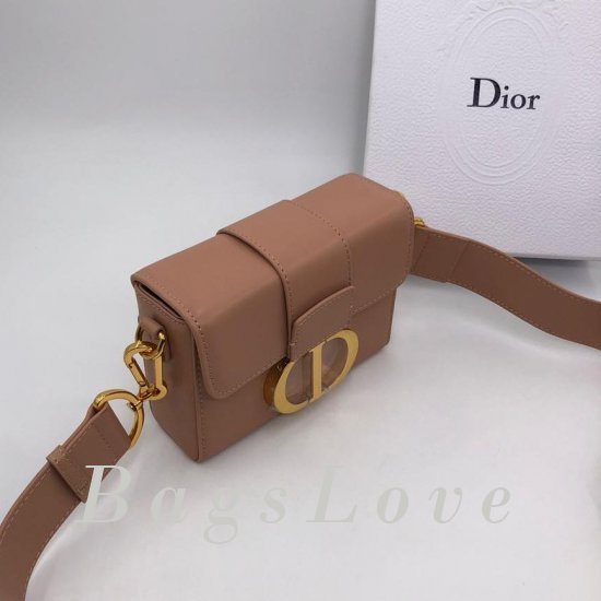 Женская сумка Christian Dior (Кристиан Диор) B106406