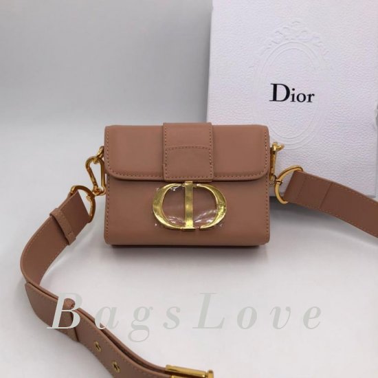Женская сумка Christian Dior (Кристиан Диор) B106406