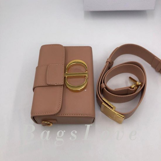 Женская сумка Christian Dior (Кристиан Диор) B106406