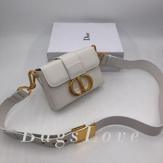 Женская сумка Christian Dior (Кристиан Диор) B106407