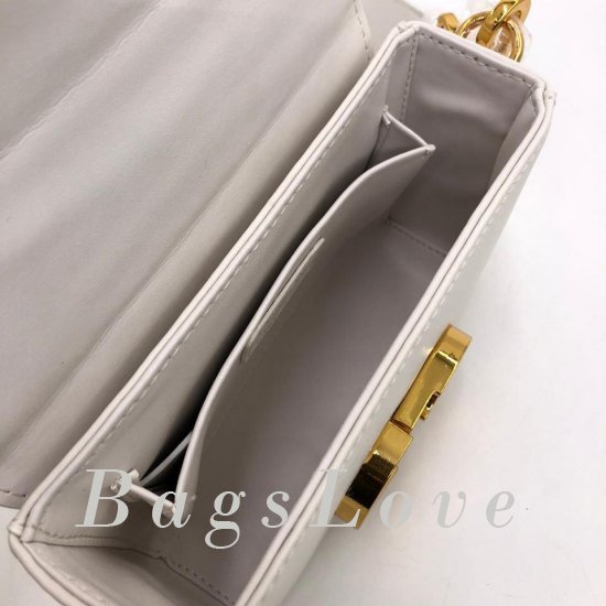 Женская сумка Christian Dior (Кристиан Диор) B106407