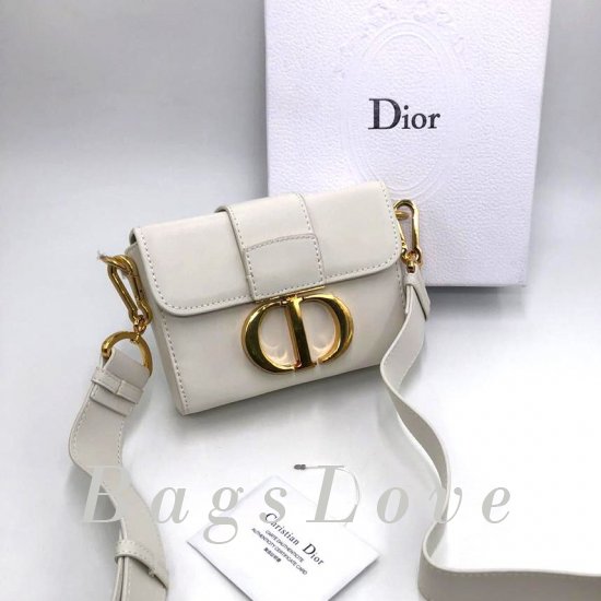 Женская сумка Christian Dior (Кристиан Диор) B106407