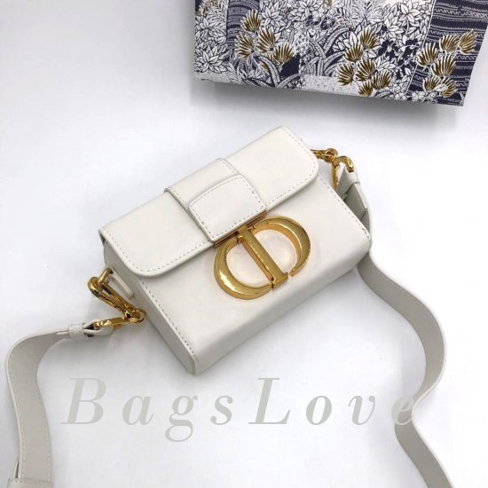 Женская сумка Christian Dior (Кристиан Диор) B106407