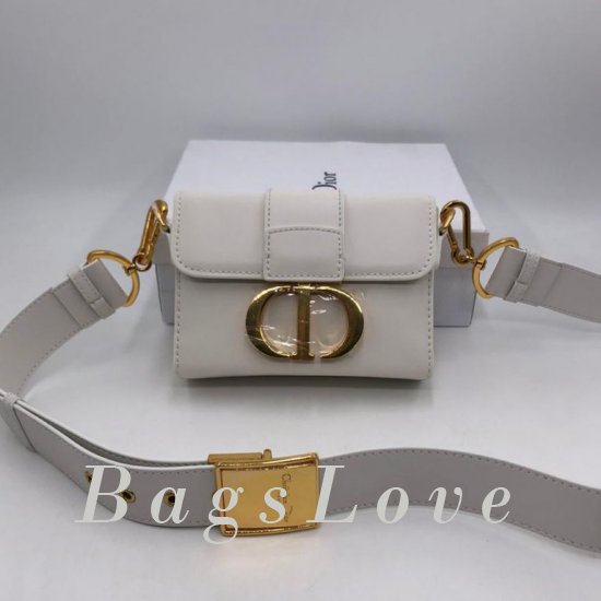 Женская сумка Christian Dior (Кристиан Диор) B106407