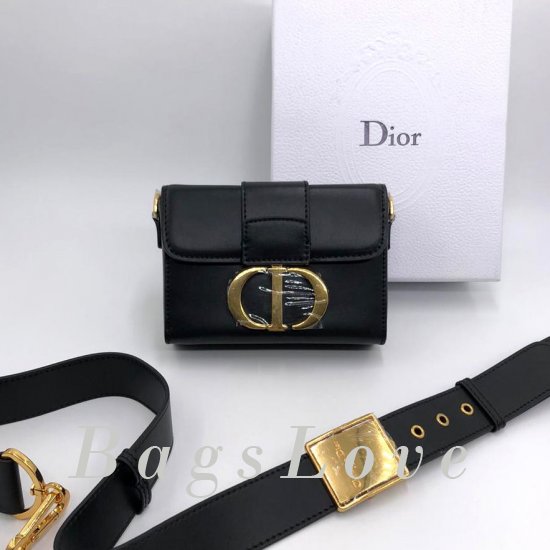 Женская сумка Christian Dior (Кристиан Диор) B106408