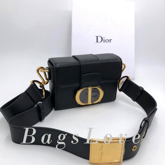 Женская сумка Christian Dior (Кристиан Диор) B106408