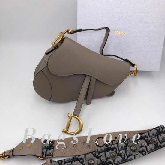Женская сумка Christian Dior (Кристиан Диор) B106418