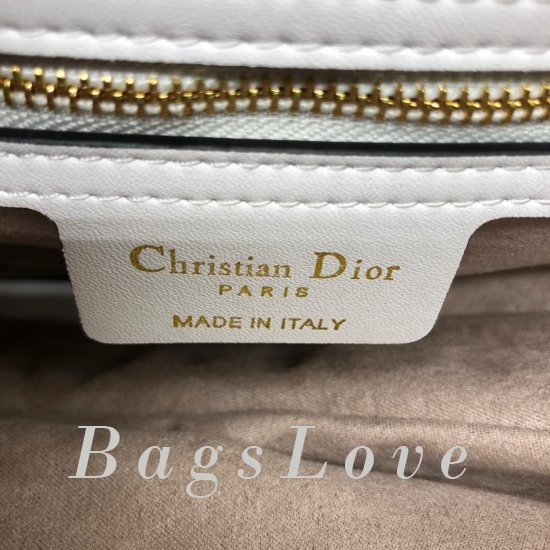 Женская сумка Christian Dior (Кристиан Диор) B106421