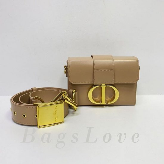 Женская сумка Christian Dior (Кристиан Диор) BЭ1105725