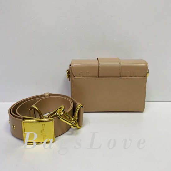 Женская сумка Christian Dior (Кристиан Диор) BЭ1105725