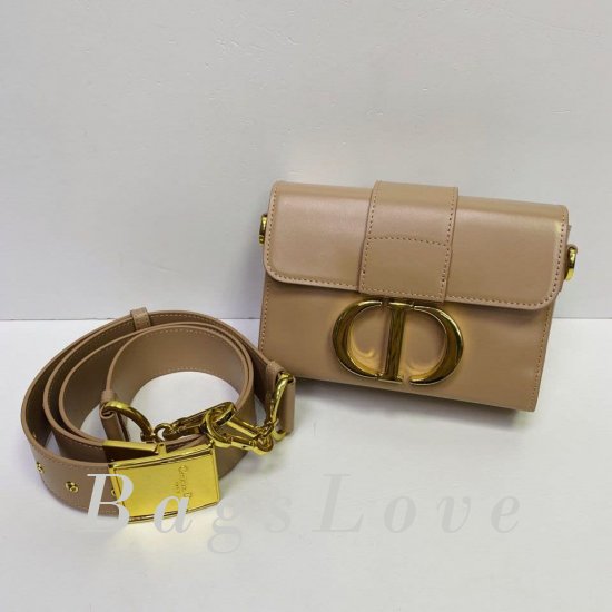 Женская сумка Christian Dior (Кристиан Диор) BЭ1105725