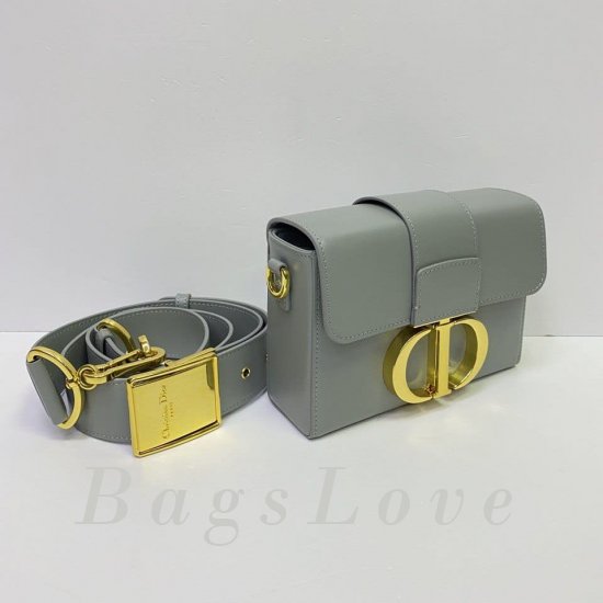 Женская сумка Christian Dior (Кристиан Диор) BЭ1105726