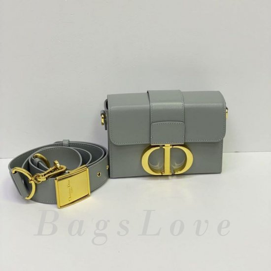 Женская сумка Christian Dior (Кристиан Диор) BЭ1105726