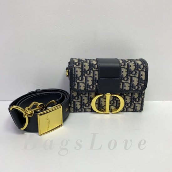 Женская сумка Christian Dior (Кристиан Диор) BЭ1105728