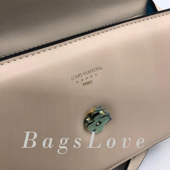 Клатч Louis Vuitton B106449