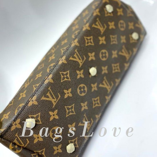 Женская сумка Louis Vuitton (Луи Виттон) B106457